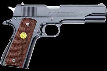 61+TG2ATLoL._UF350,350_QL50_.jpg